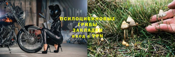 трава Краснотурьинск